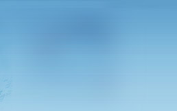 VHMNetwork